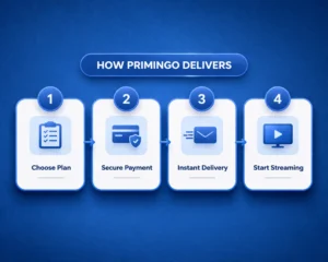 how primingo delivers process infographic showing choose plan secure payment instant delivery start streaming steps